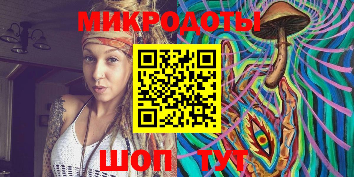 Галлюциногенные грибы Psilocybe Добрянка