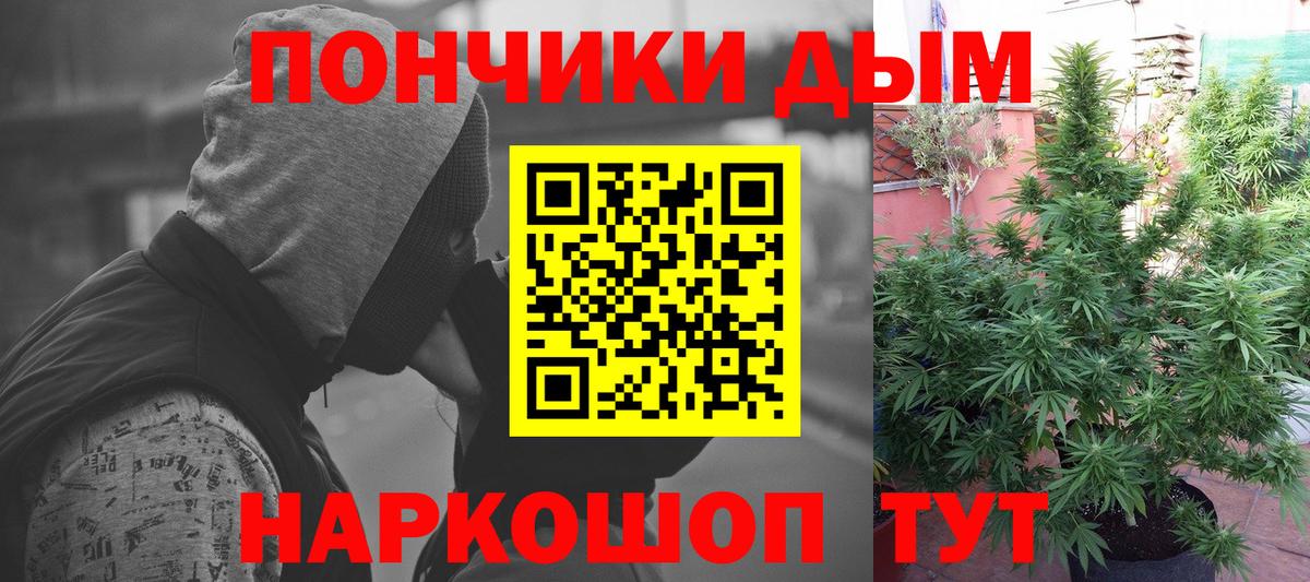Каннабис индика  Марихуана марихуана  Добрянка  Канабис семена  Конопля White Widow  Вход с VPN 